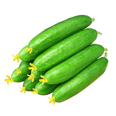 寿光新鲜现摘水果小黄瓜嫩青瓜生吃蘸酱脆甜无刺5斤包邮农家蔬菜
