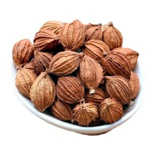 【2025年新货】川砂仁500g无硫熏香砂仁沙仁煲汤卤肉炖肉香料调料