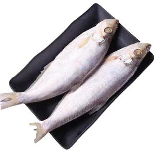 大白鳞鱼咸鱼半干曹白鱼海鱼新晒海产干货单条7-9两快鱼白鳞鱼