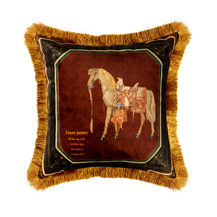 美式高级感毛绒抱枕沙发抱枕套北欧轻奢流苏床头靠枕天鹅绒靠垫