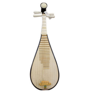 正品敦煌琵琶541KK金牌酸枝木骆驼骨民族专业演奏考级时尚经典541