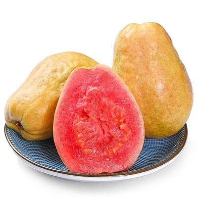 正宗红心软心芭乐新鲜水果土芭乐软香鸡屎果1/3/5斤应季番石榴
