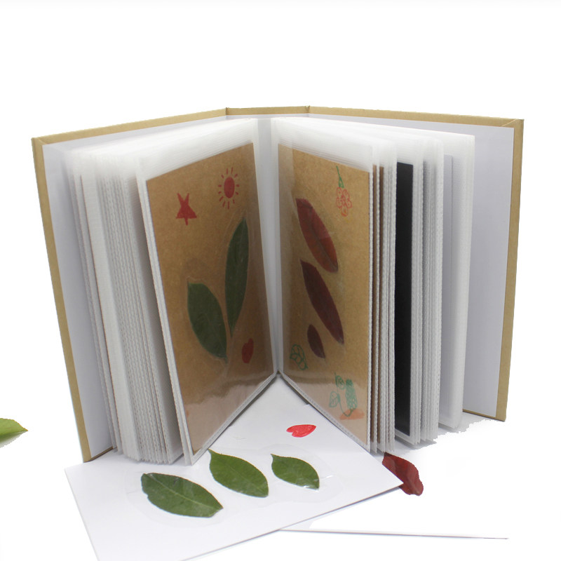 树叶标本册植物风景画手工制作
