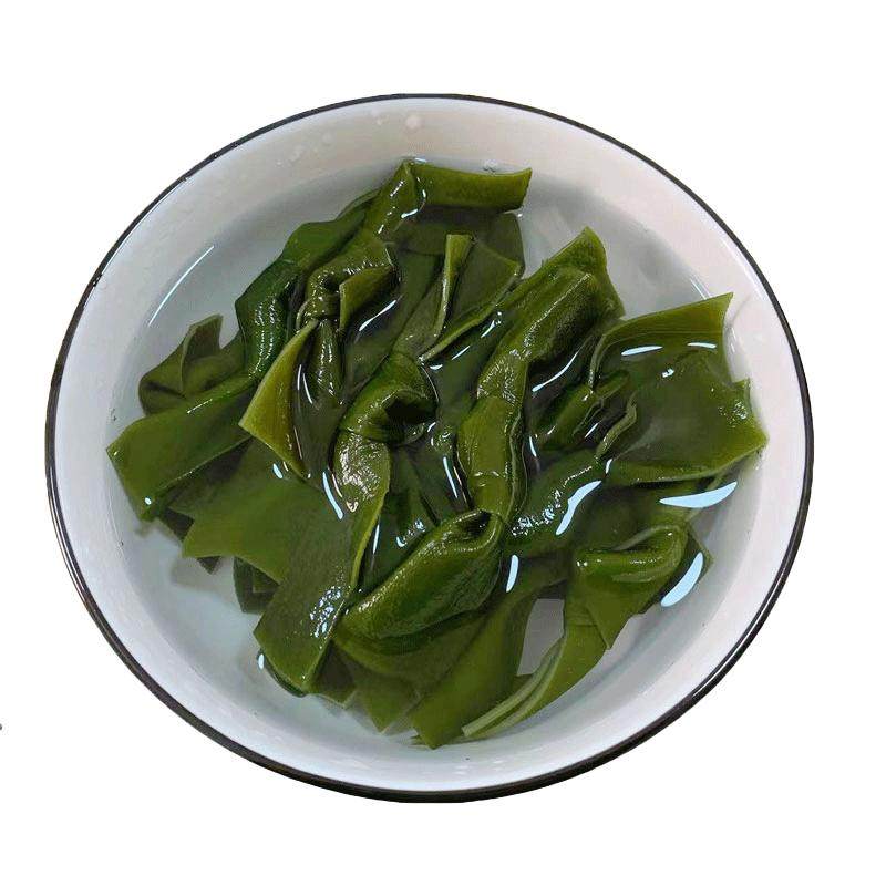 新鲜盐渍海带结火锅凉拌菜食材
