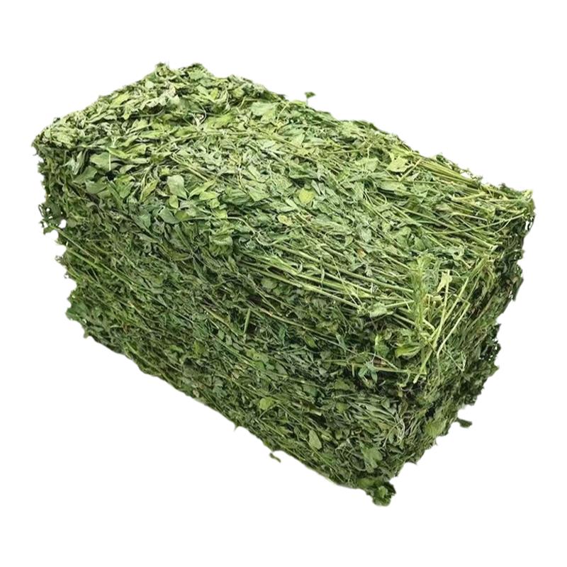 兔子龙猫苜蓿草荷兰猪北提