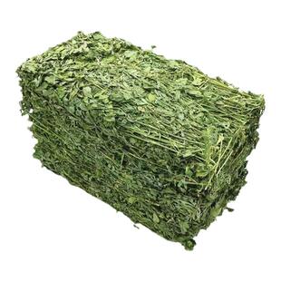 25年烘干大叶紫花苜蓿草北提兔子专用兔粮干草荷兰猪龙猫幼兔饲料