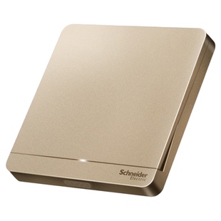 施耐德开关插座面板家用86型明装暗装一开五孔带USB墙壁式绎尚金