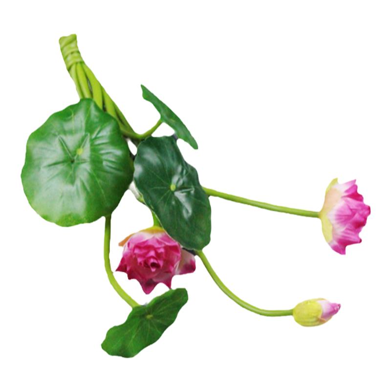 海鲜姿造摆盘装饰小荷花