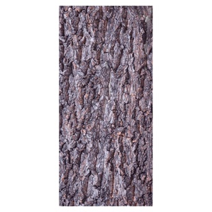 天然真树皮香槟软木树皮爬宠鱼缸装饰造景植物墙背景装饰墙面树皮