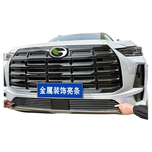 24款广汽传祺GS4max专用改装中网前格栅保险杠防虫网装饰亮条配件