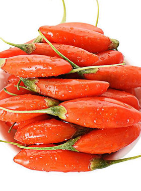 批发现摘枸杞鲜果头茬正宗宁夏中宁即食大颗粒新鲜水果枸杞礼盒