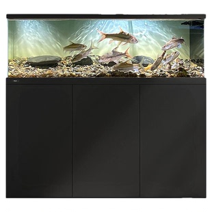 德克2026新款吉罗缸家用大中型客厅造景生态底过滤鱼缸超白玻璃缸