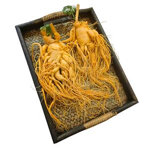 人参长白山人参中药材泡酒专用