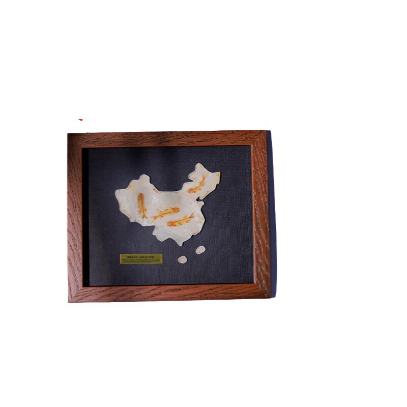 辽西天然狼鳍鱼化石地图群鱼装裱古生物动物化石科普原石标本礼物