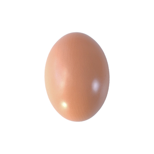 儿童创意玩具仿真木质假鸡蛋食玩模型整蛊恶作剧整人道具学生教学