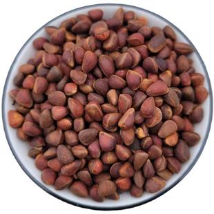 新货大兴安岭野生马尾松子原味生小松子鹦鹉魔王松鼠粮食500g包邮