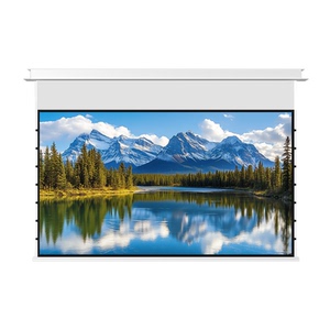 音响款嵌入式天花投影幕布电动