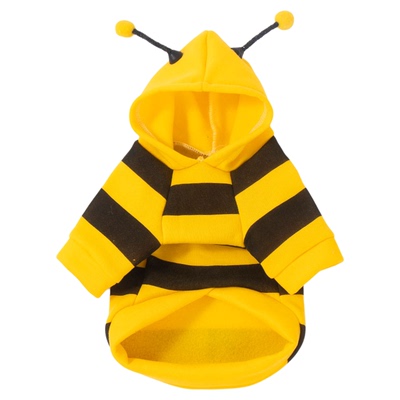 小猫咪衣服防掉毛春秋季布偶幼猫猫无毛猫英短蓝猫银渐层宠物卫衣