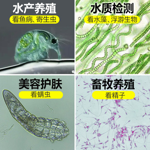 高倍10000倍光学电子生物显微镜专业专用养殖水产一体机看精子猪