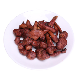 阿尔山鸡血蘑东北红蘑菇干货松树伞香菇红蘑菇丁新鲜晒干红松树菇