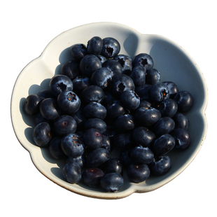 池见 云南露天高原花香L25蓝莓自然生长脆甜微酸脆甜现摘新鲜空运