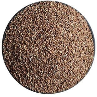 委陵菜种子阳台庭院盆栽室内四季易种地被花卉种子多年生黄色小花