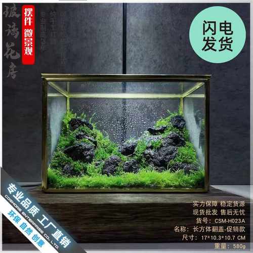 生态瓶青苔微景观盒子摆件微缩玻璃房盆景森林缸长方花盆桌面苔藓