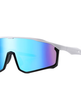 户外滑雪眼镜骑行运动雪地男女款