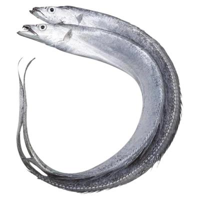 特大带鱼整箱10斤礼盒装顺丰包邮