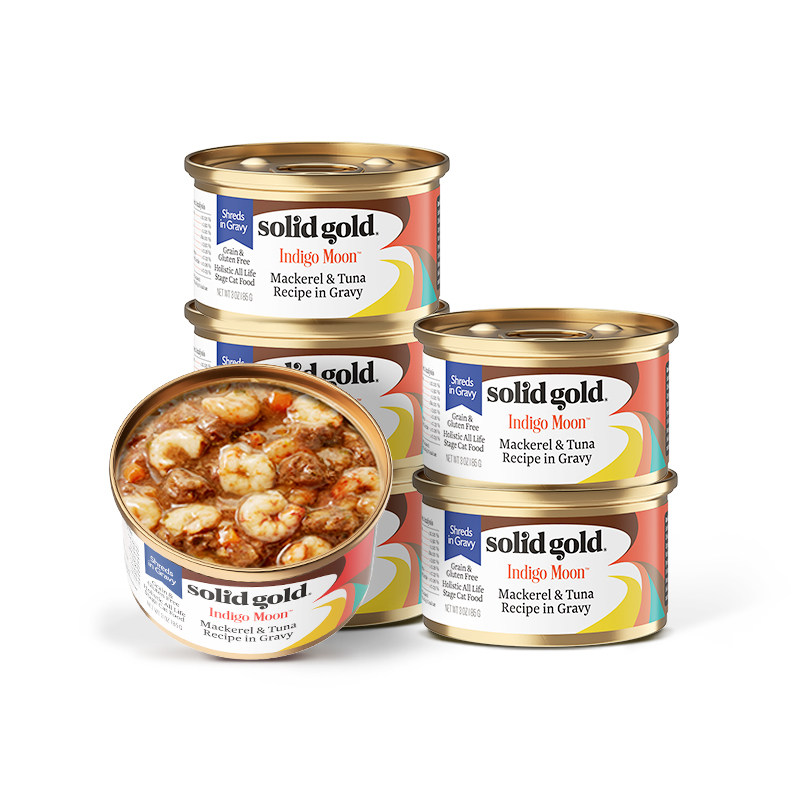 SolidGold素力高主食猫罐头85g*6金素幼猫成猫湿粮餐盒猫主食罐头