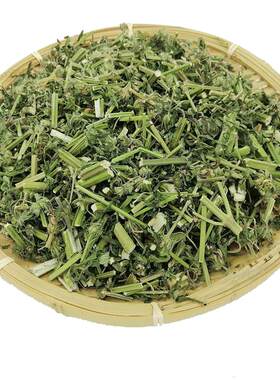中药材调理月经姨妈野生益母草