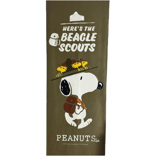 加厚质感竖版长条挂布复古美式动漫背景布卡通卧室玄关布艺挂画