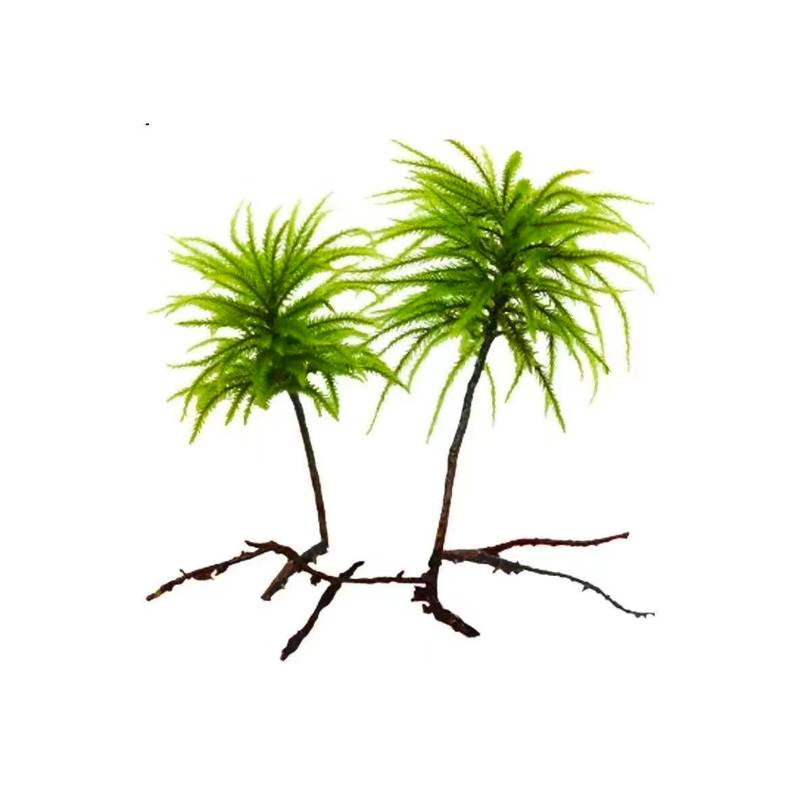 万年藓水草活体植物鱼缸水草造景