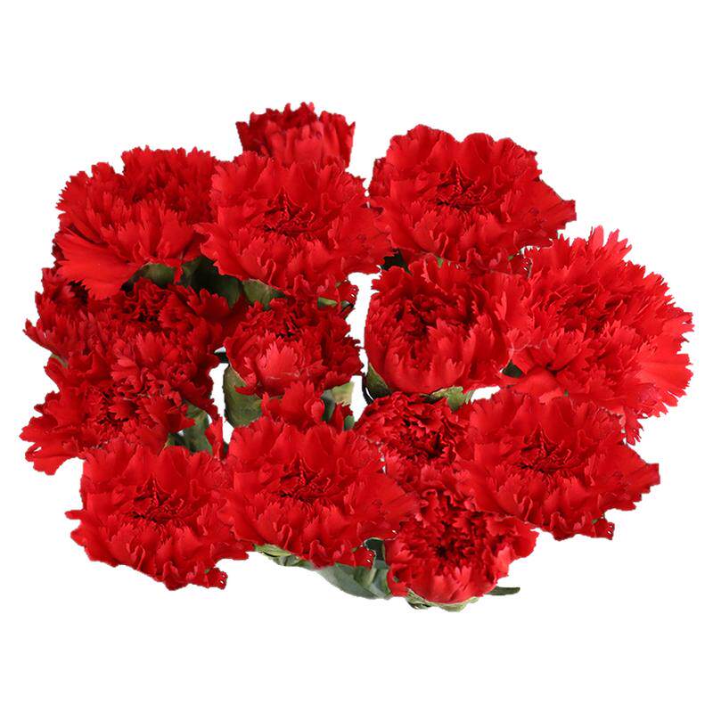 康乃馨鲜花云南直发母亲节三八节