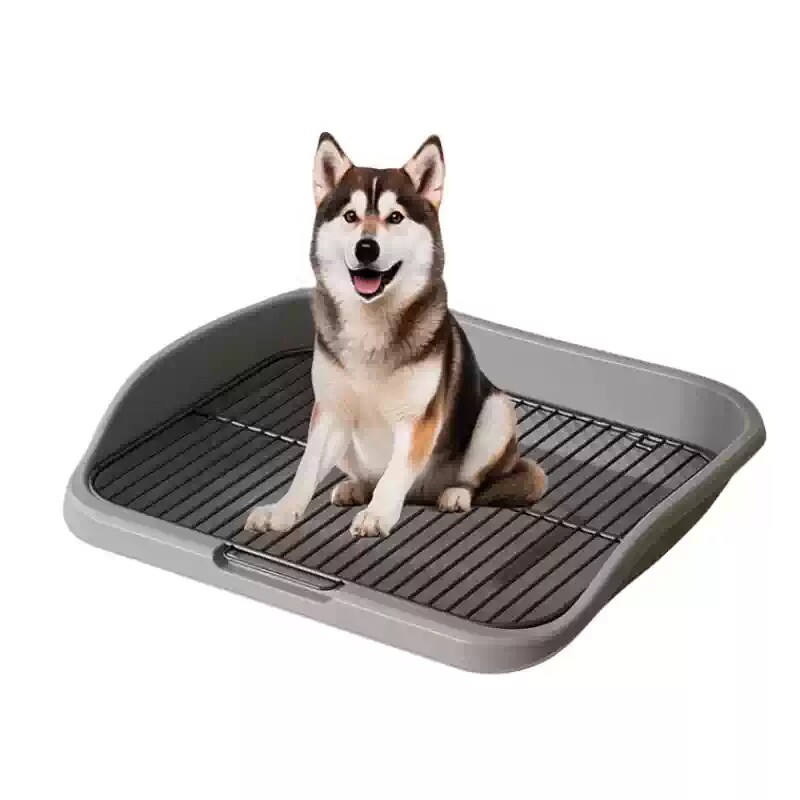 防踩屎定点狗厕所大小犬通用