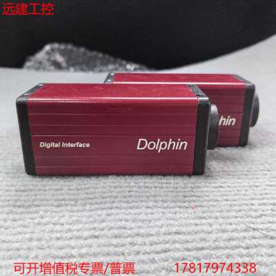 议价远建 AVT Dolphin F-145C IRF工业彩色CCD近红外相机 功能包