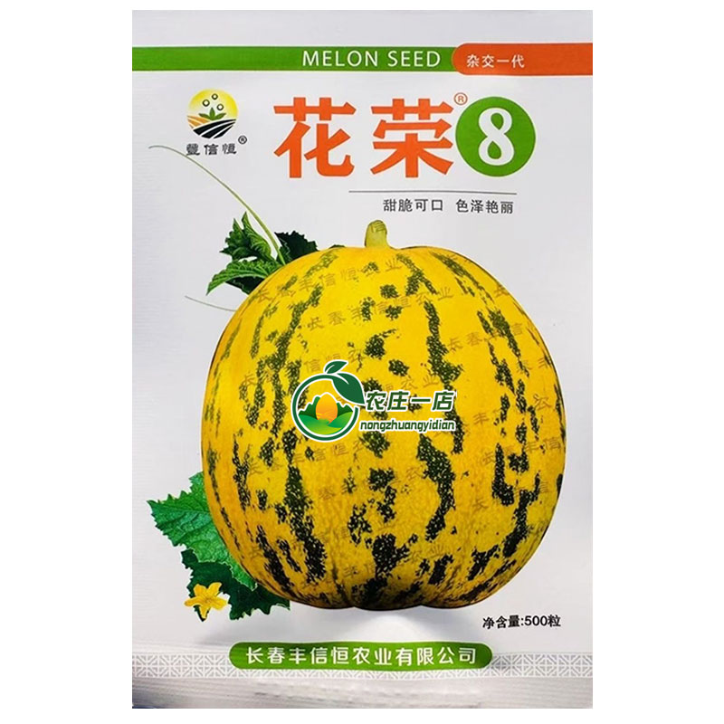 甜瓜种子杂交斑点绿肉超甜香瓜籽