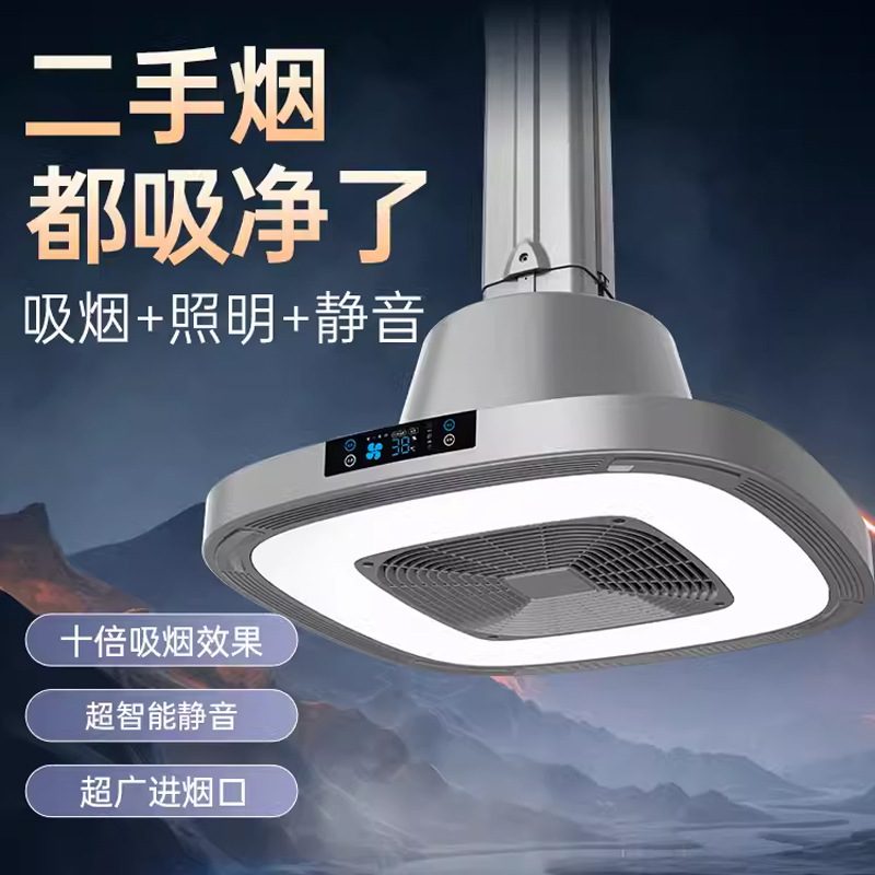 棋牌室外排吸烟灯厂家直供房空气净化器管道直排吸油烟净化机包邮