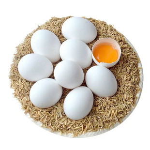生鲜鸡蛋土鸡蛋新鲜散养白羽鸡蛋白壳蛋白皮喜蛋产地直发批发营养