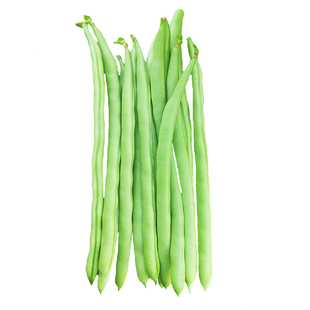 皇中皇龙须豆豆角种孑江豆种籽特长无筋豆种子高产种蔬菜春秋播种