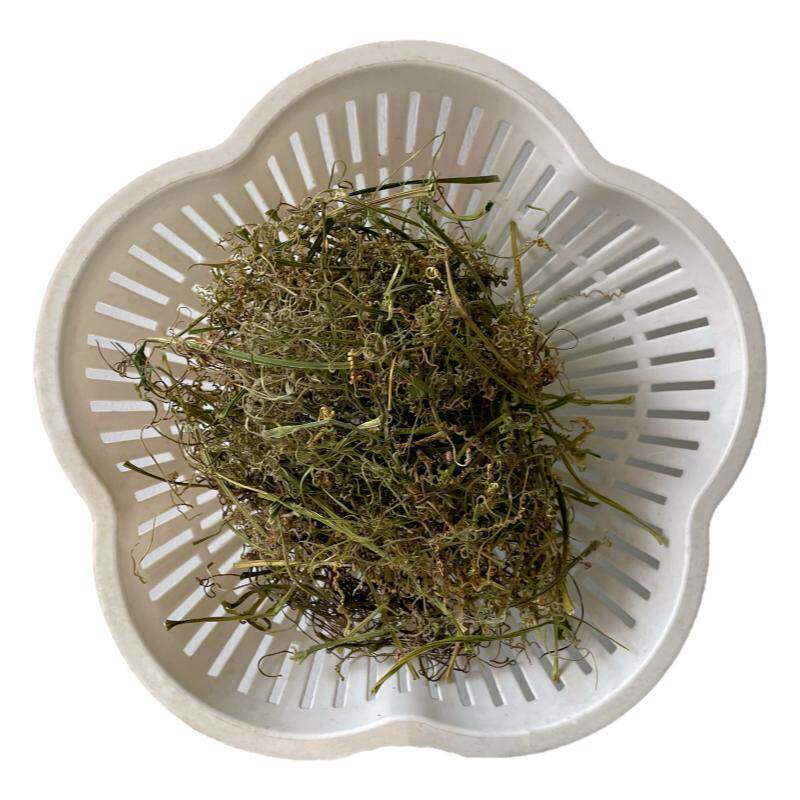 新鲜南瓜须南瓜尖藤蔓结石去石