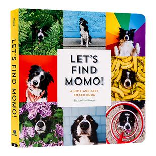 Let'S Find Momo 寻找莫莫 我们找到莫莫 纸板书 英文原版狗狗摄影 和狗狗玩捉迷藏 儿童互动游戏 幼儿科普百科绘本 Andrew Knapp
