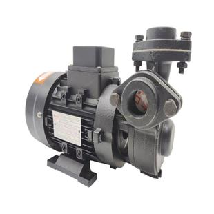 大洲TS-63/71高温油泵模温机热油循环泵耐高温280°C油泵导热油泵