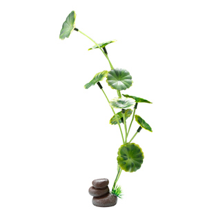 刺身装饰花草盘饰点缀创意盘饰花西餐装盘小摆件拼盘餐饮冷菜配饰