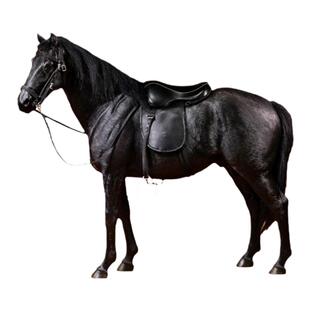 温血马模型仿真写实动物客厅办公室骏马摆件桌面装饰兵人白马坐骑