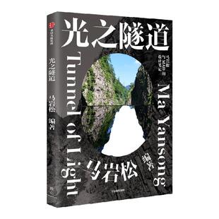 光之隧道 马岩松 著 艺术 中信