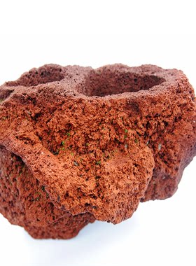 文竹清仓吊兰悬挂肉肉透气火山石