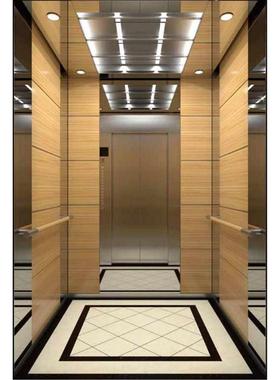 SLDT自建房电梯曳引家用电梯别墅电梯室内外观光二三四五六层电梯