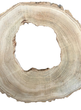 圆木片diy手绘木片画背景墙装饰