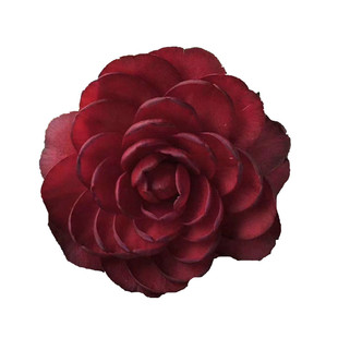 金碧辉煌茶花 黑赤丹茶花 新品种茶花黑红色